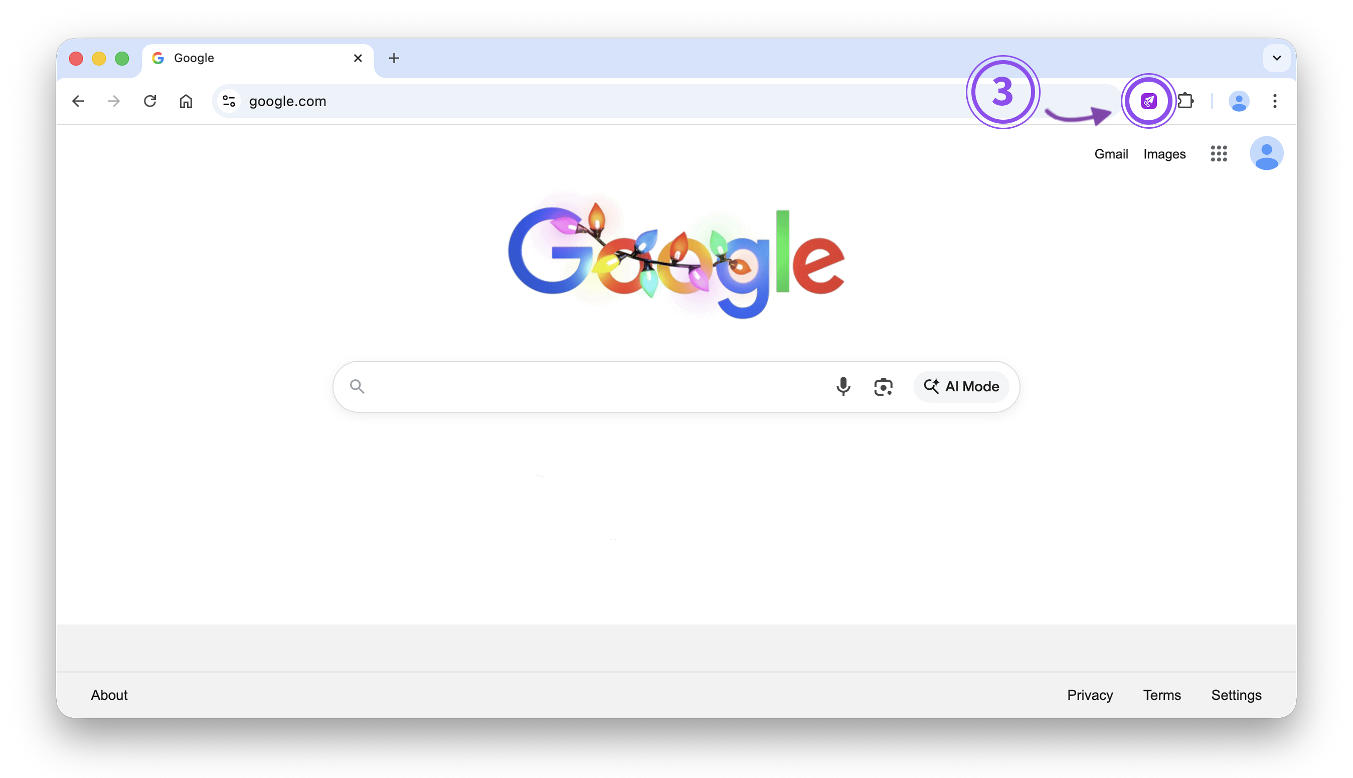 Extension pinned and opened